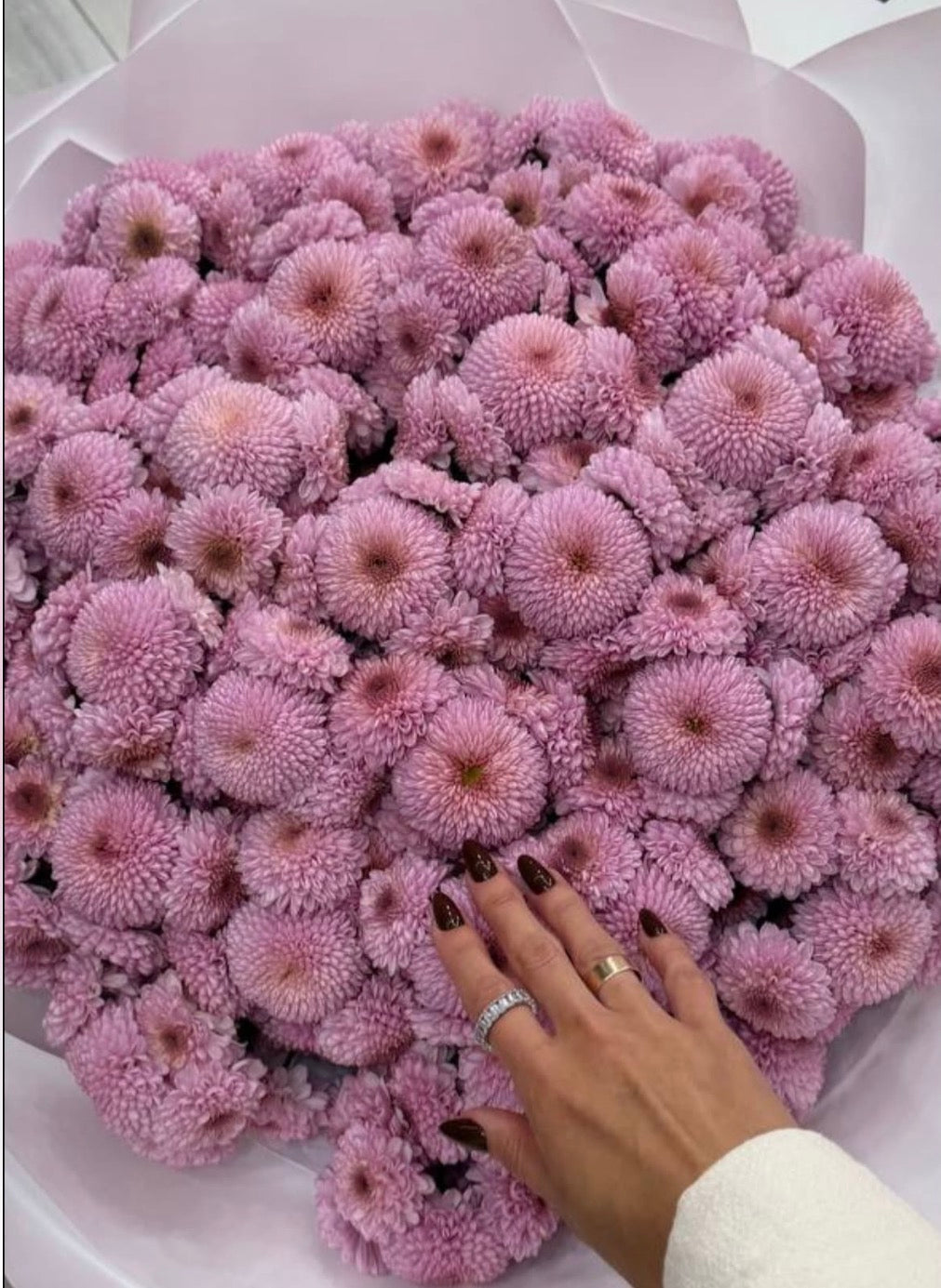 Bouquet of 40 stems chrysanthemum