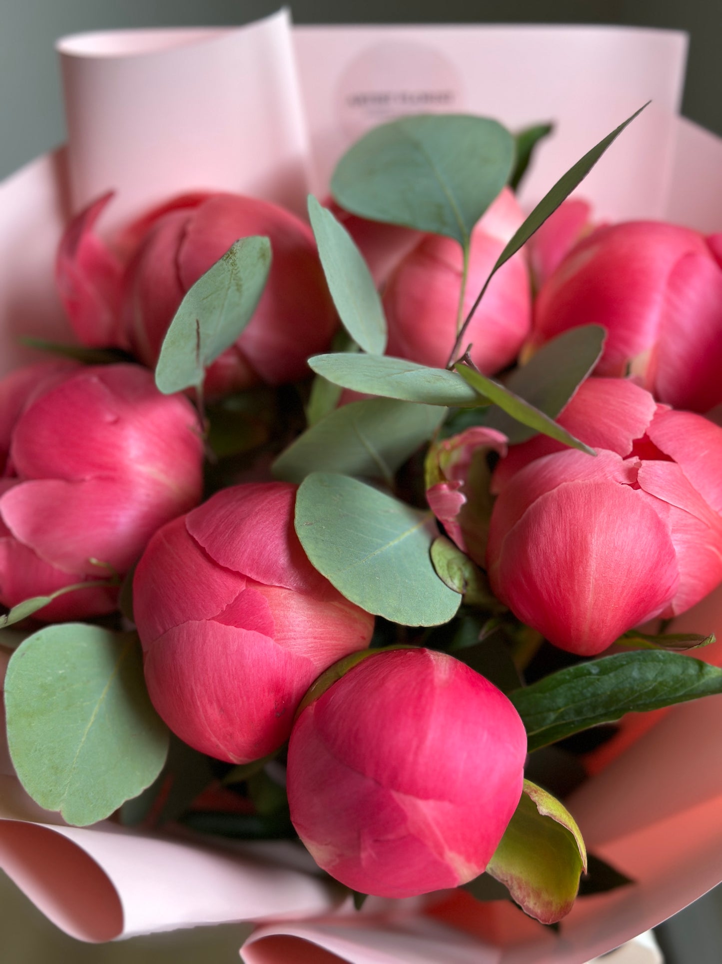 Bouquet of 7 peonies Coral Charm & eucalyptus