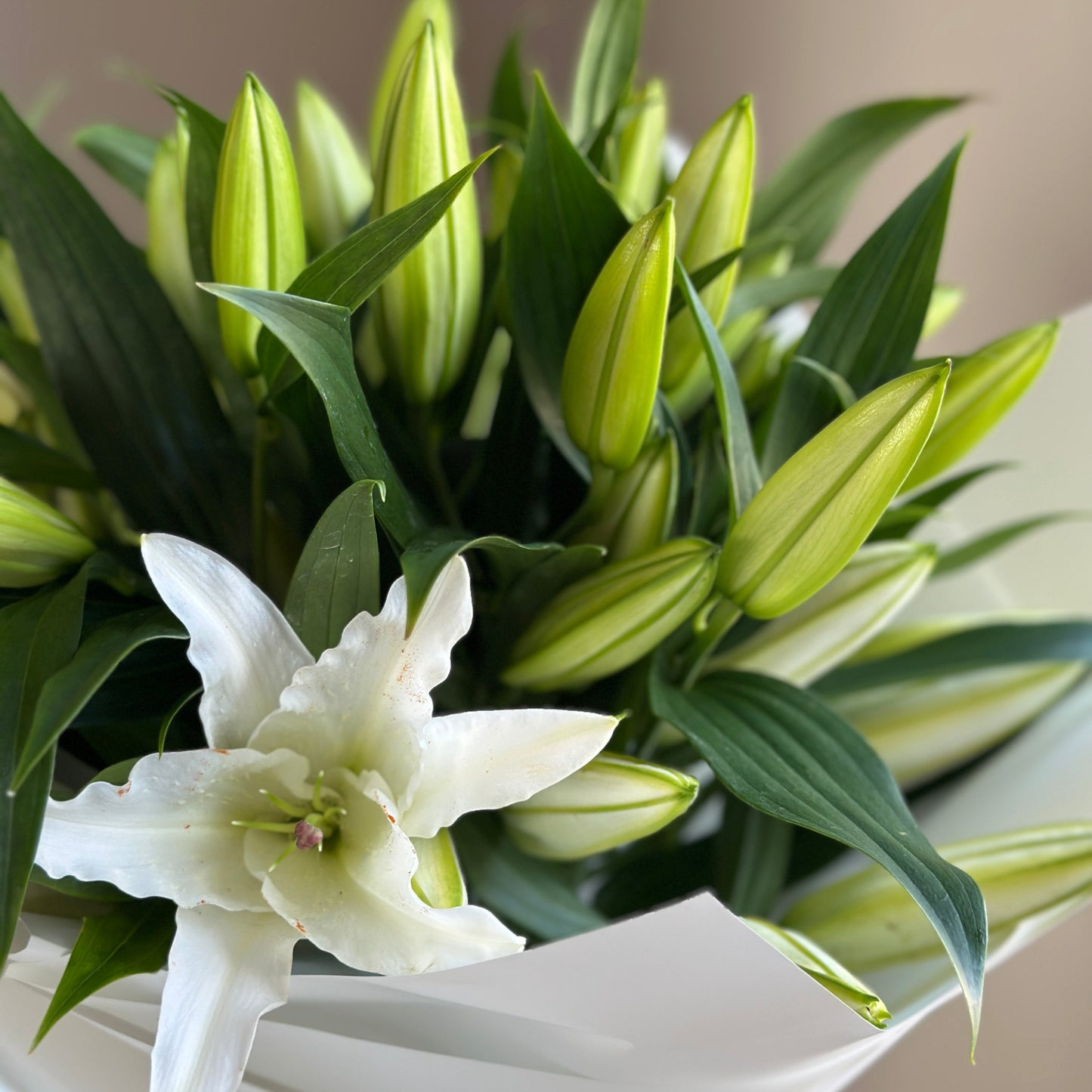 Pure Elegance — White Lily Bouquet
